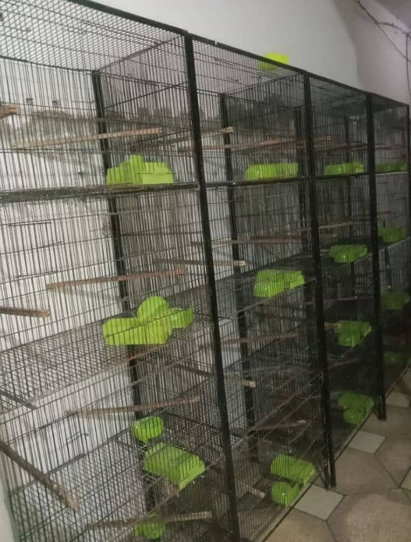 Lovebirds Cage for Sale. 2