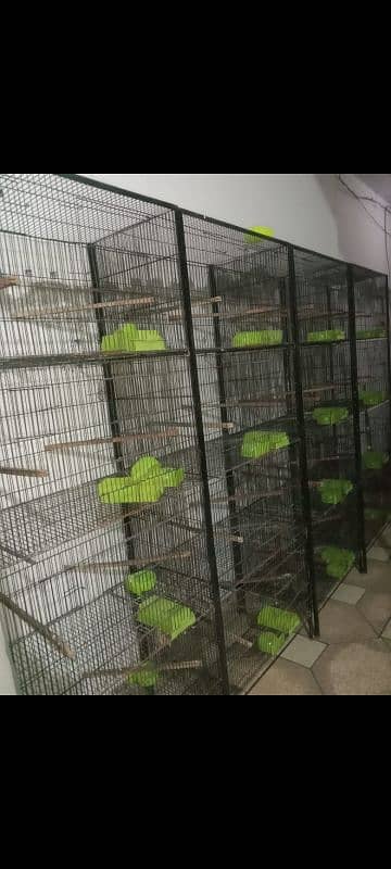 Lovebirds Cage for Sale. 3