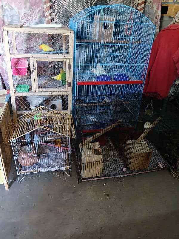 cages for sale 0