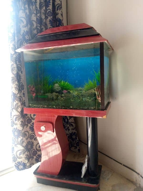 Fish Aquarium with stand for sale 2