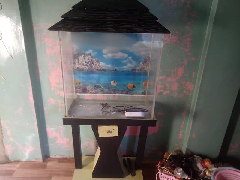 aquarium for best quality 0