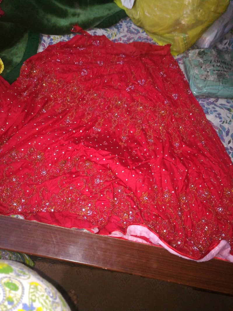 Lengha and dupatta 3