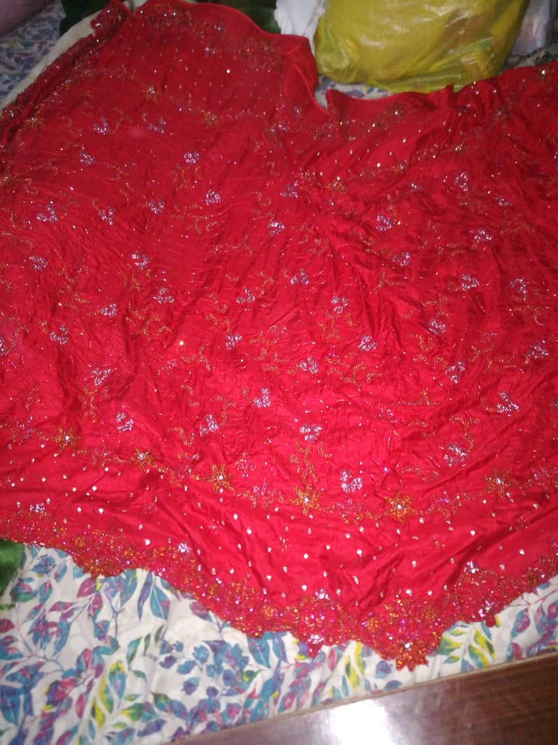 Lengha and dupatta 4