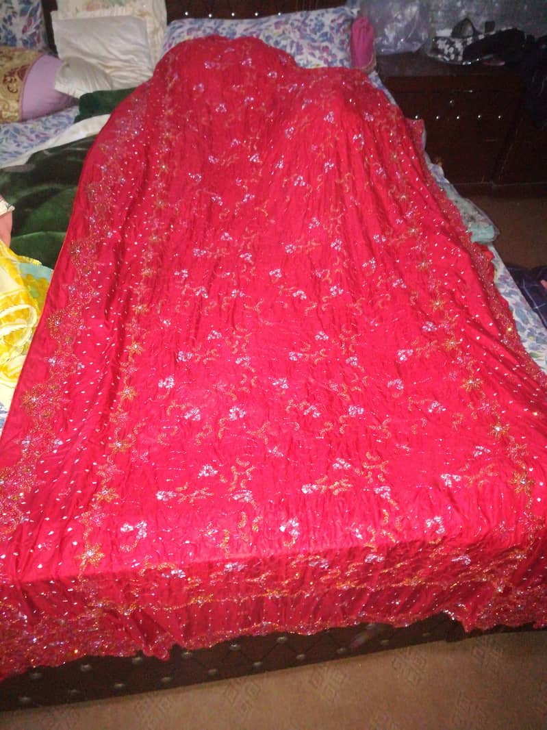 Lengha and dupatta 6