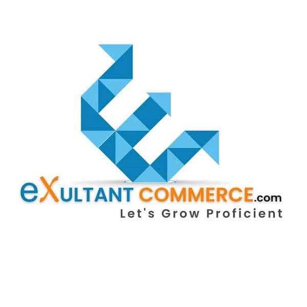E-commerce and Data Entry Assistant 0