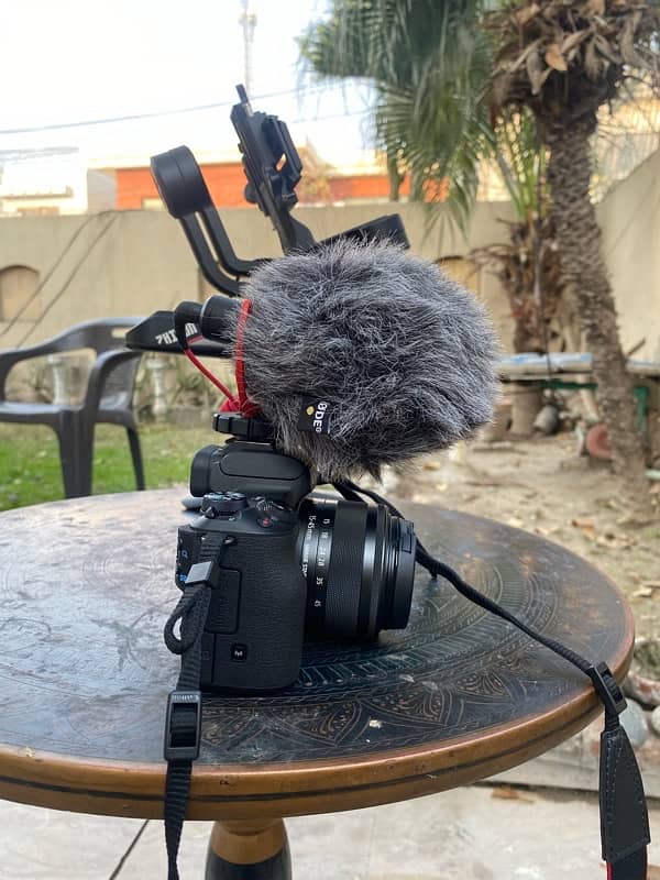 Canon M50 with Mic, Weebill S and Tripod 4