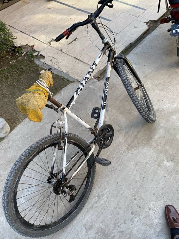 giant cycle 26 inch size 1