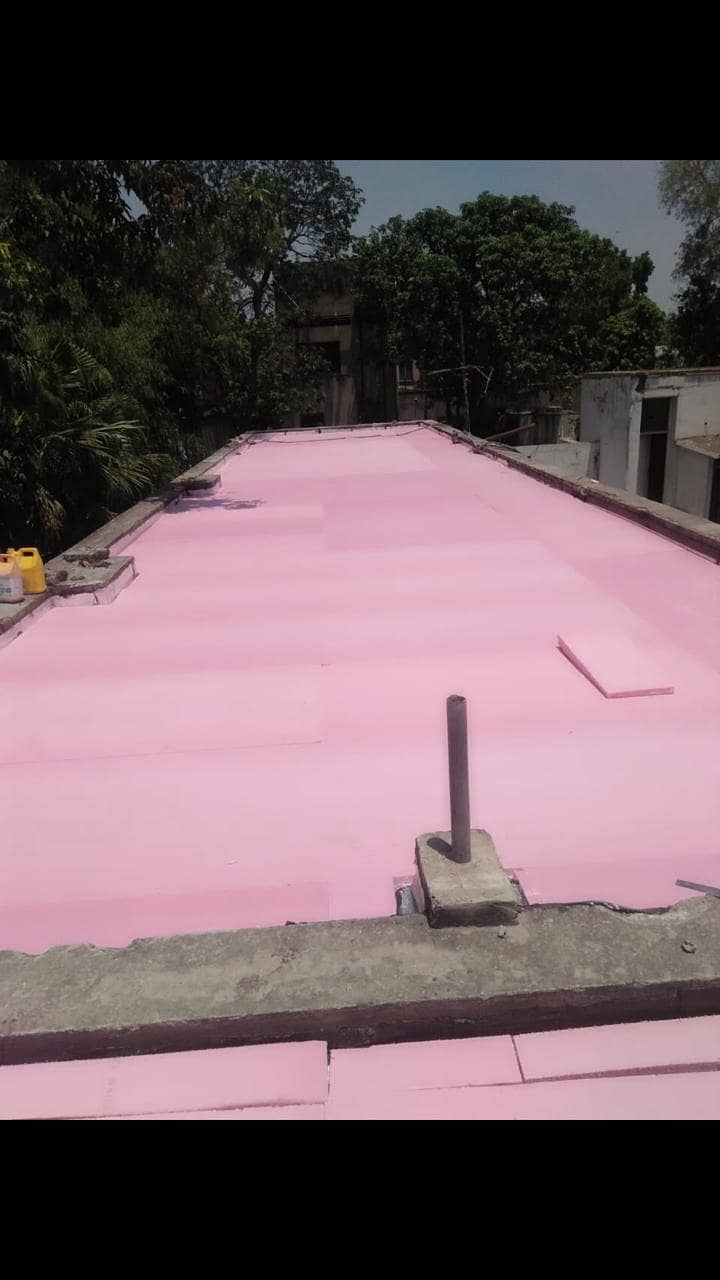 Premium Polyurethane, Coating - Leak Proofing & Waterproofing, Roof 12