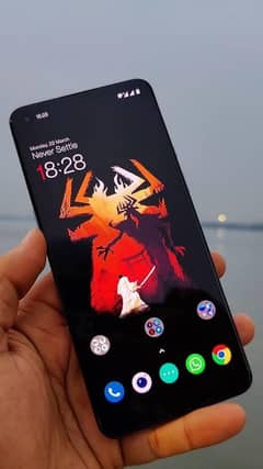 oneplus 9 12/256gb all new