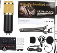 Professional condenser microphone