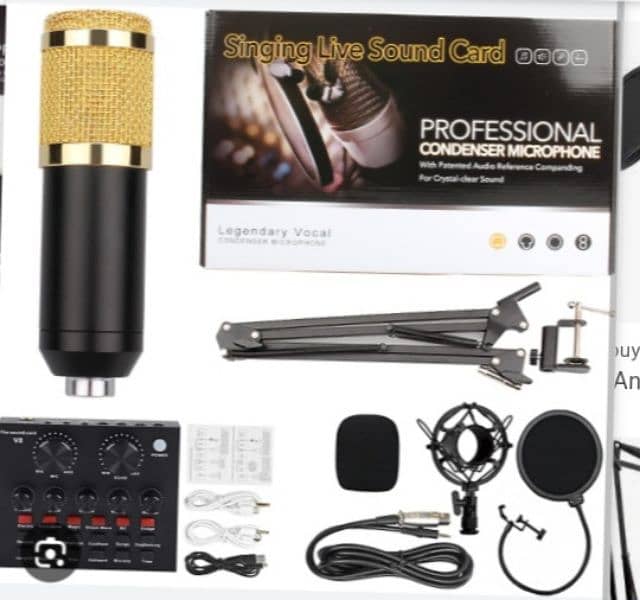 Professional condenser microphone 0