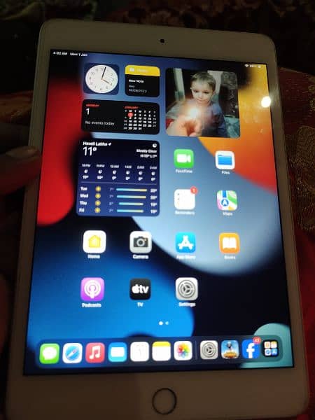 ipad mini 5 1