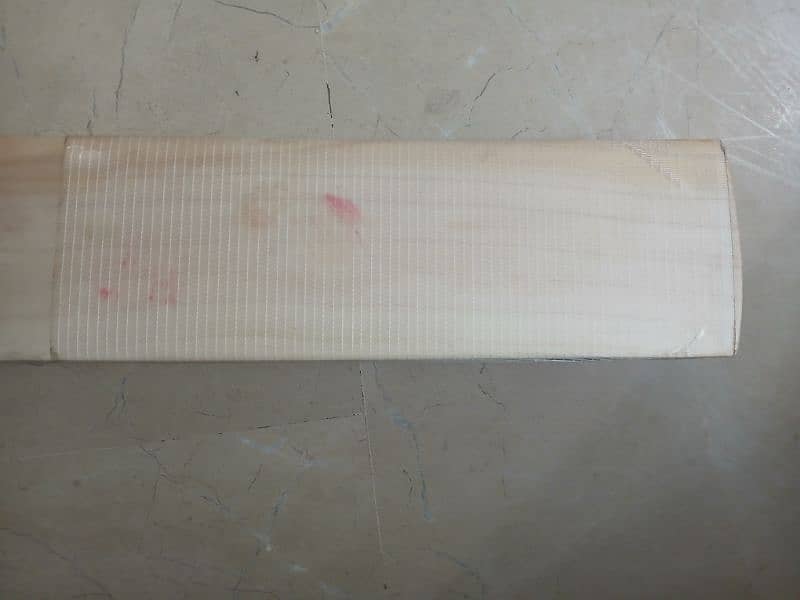 Full Size Rage Cricket Bat 2