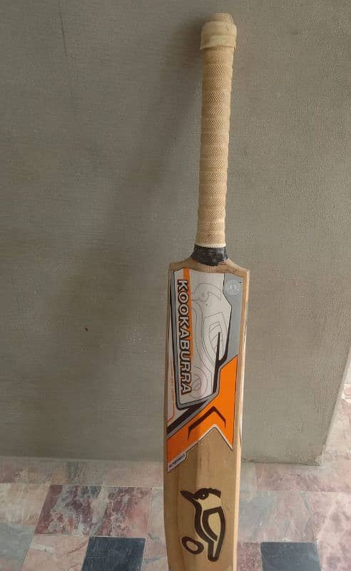 Kookaburra Wooden Bat 1