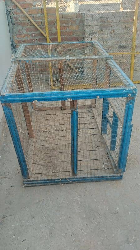 hens cage available 0