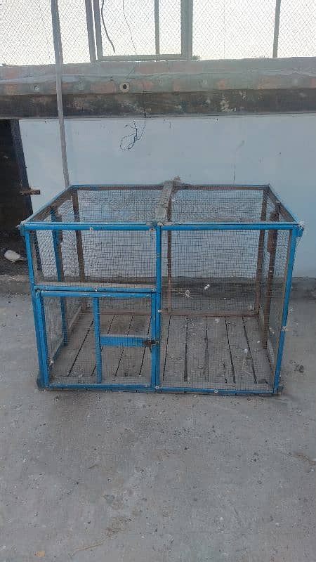 hens cage available 1