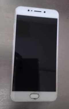 Vivo Y60