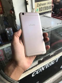 vivo