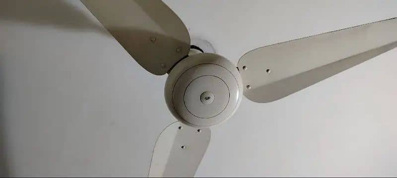 SK Ceiling fan 1