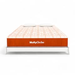 Molty Ortho Firm Mattress – Ultimate Back Support with Home Delivery!