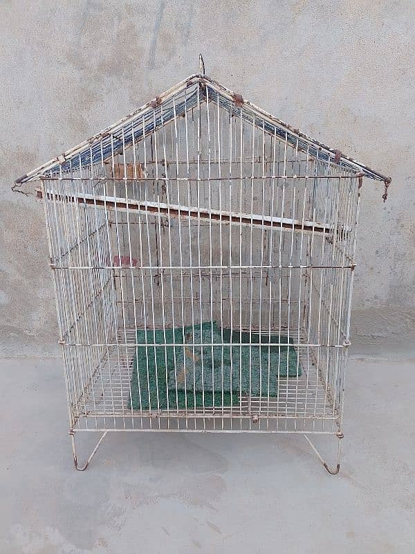 *5 Red Eyes Budgies Breeder Pairs & Two Cages for Sale* 3