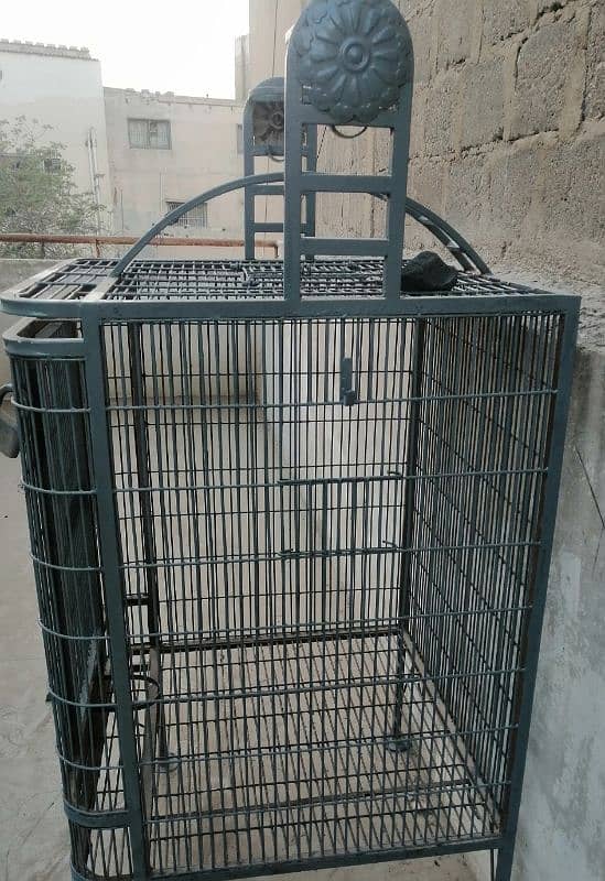 Cage for sale 2