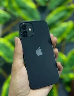 iPhone 12 dual offical PTA 256gb urgent sale serious buyer