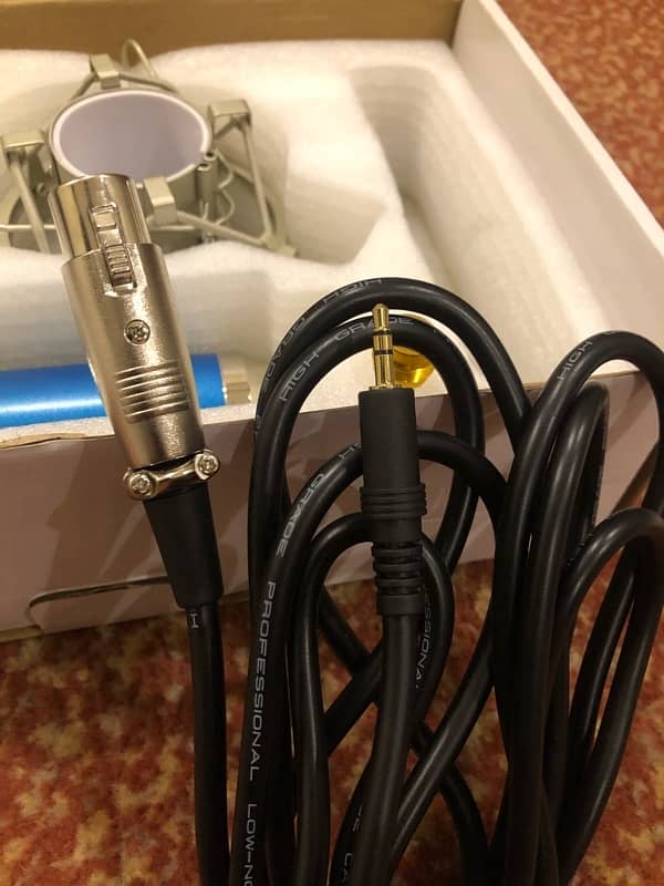 Condensor Studio Mic with Filter 5