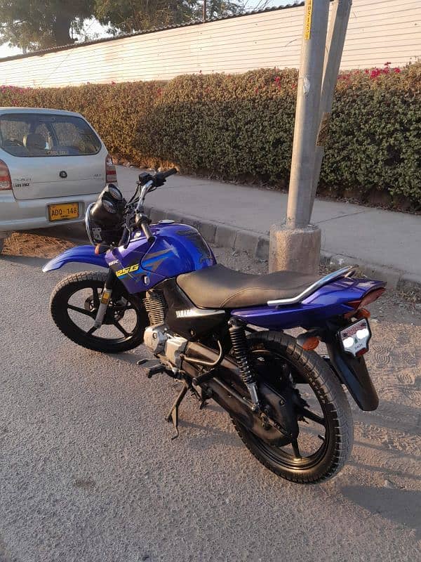 Yamaha YBR 125 G 2019 0