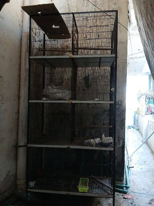 8 Portion cage for sall 0