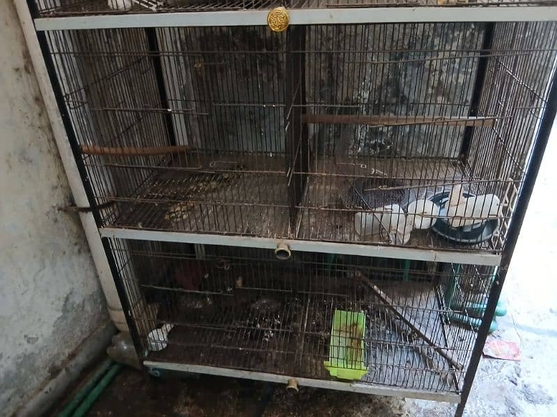 8 Portion cage for sall 4