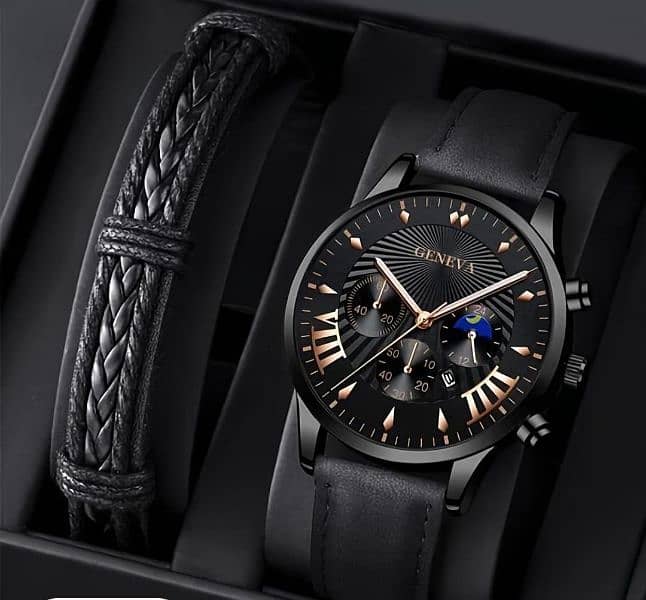 Professional Men's Watch 2