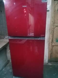 Hair refrigerator medeum size 03057511868