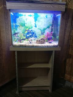 Fish Aquarium