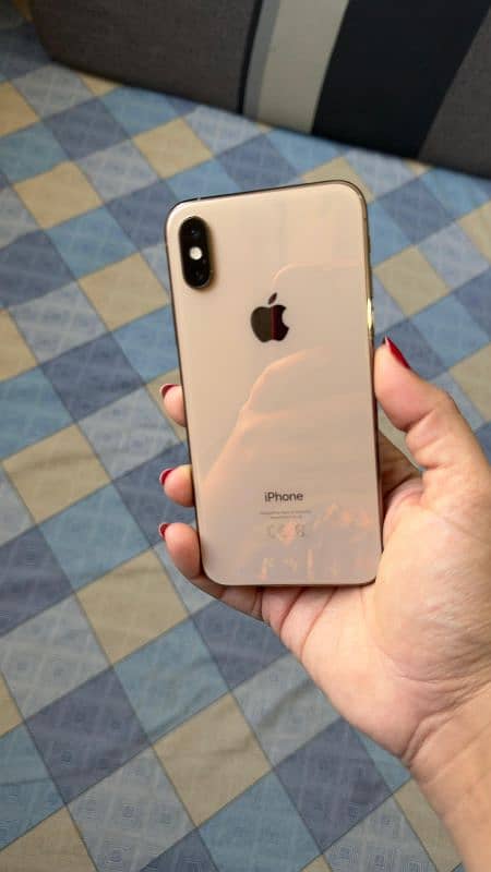 iPhone Xs 256 Gb 1