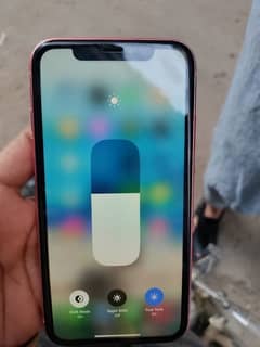 iPhone xr Non Pta