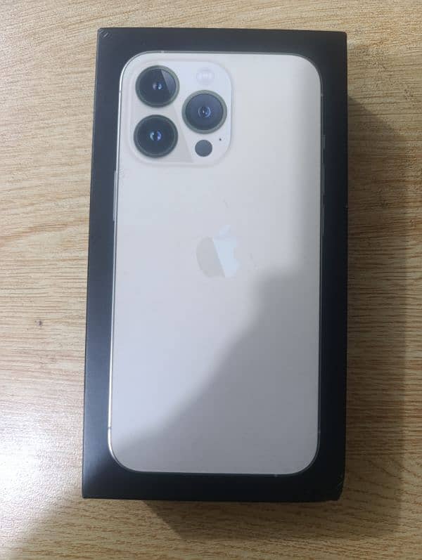 iPhone 13Pro (non pta) 6