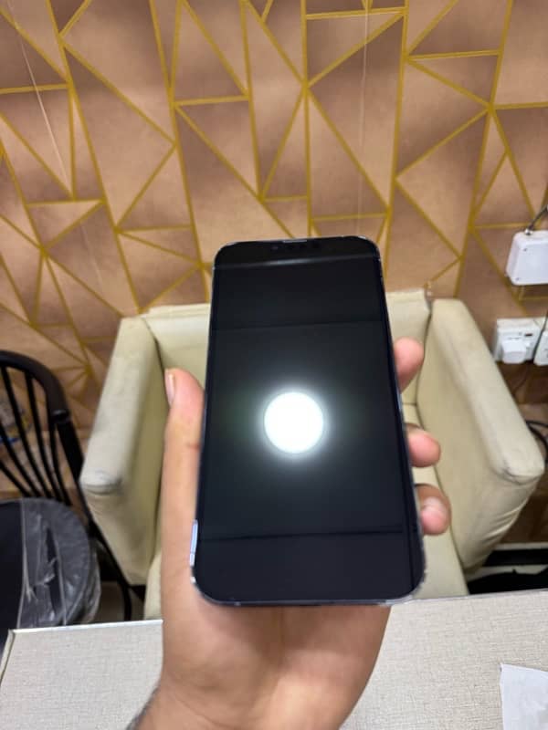 iPhone 13 Pro Max 256gb Pta approved 4