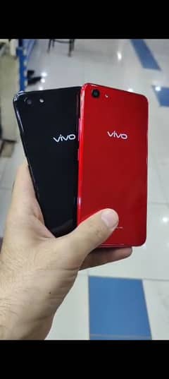 Vivo