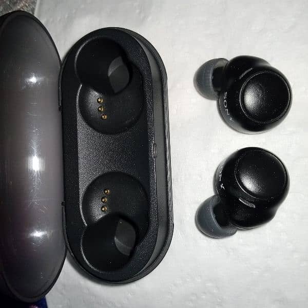 sony earphones wf c500 3