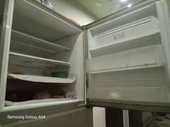 pel fridge