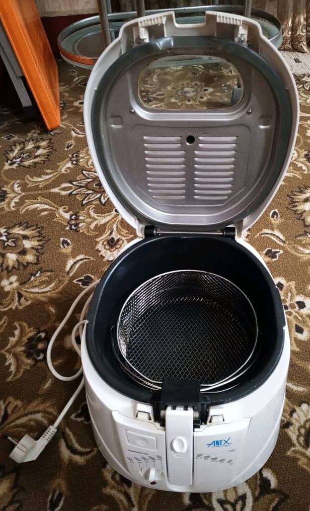 ANEX DEEP FRYER 2