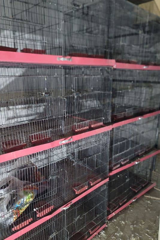 Folding cage For sale 0