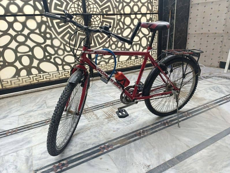 roman bicycle 4