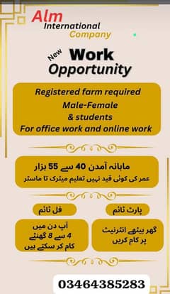 Online Work and office work available