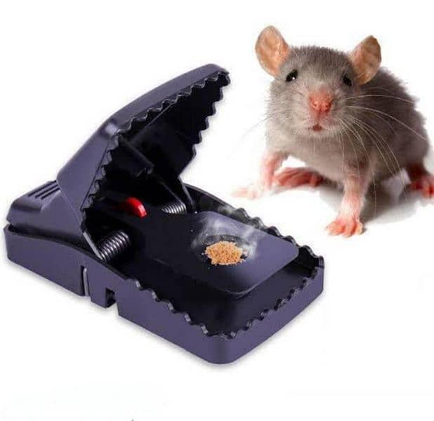 Mouse trap pack of 3 1