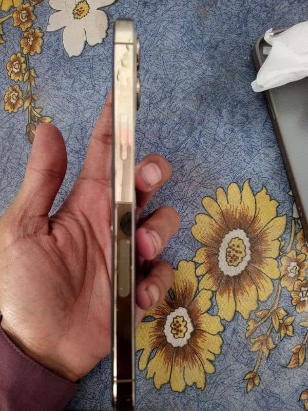 iphone 12 pro max Jv non Pta Gold color 2