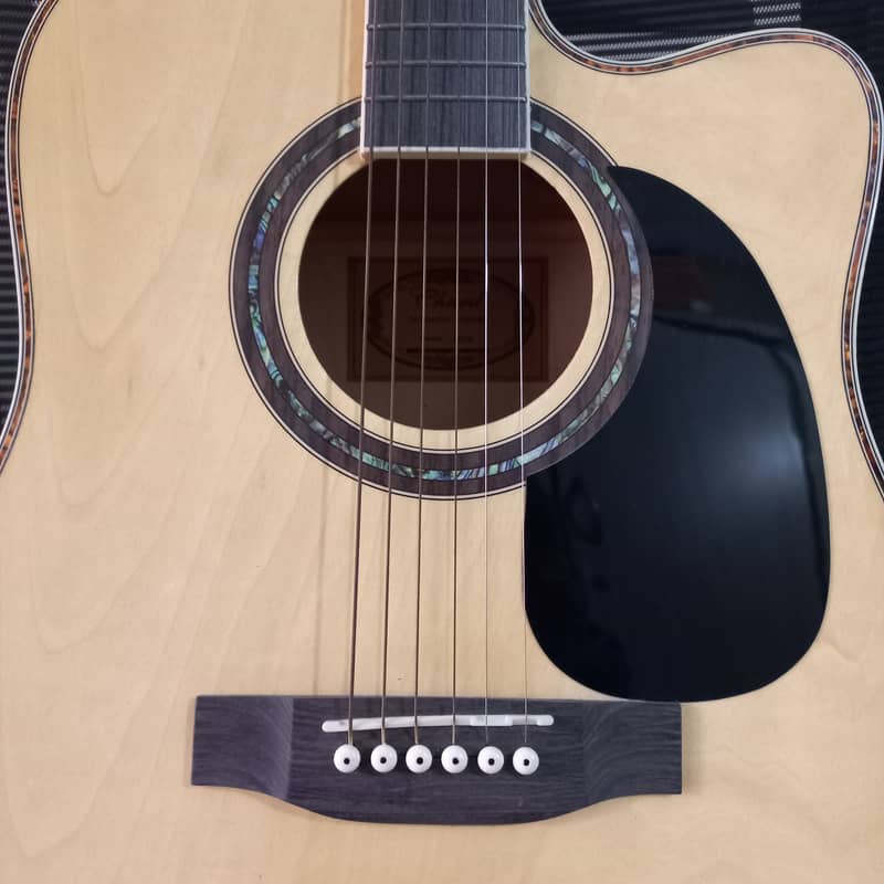 Acoustic Guitar (Chard Acoustic Guitar) 2