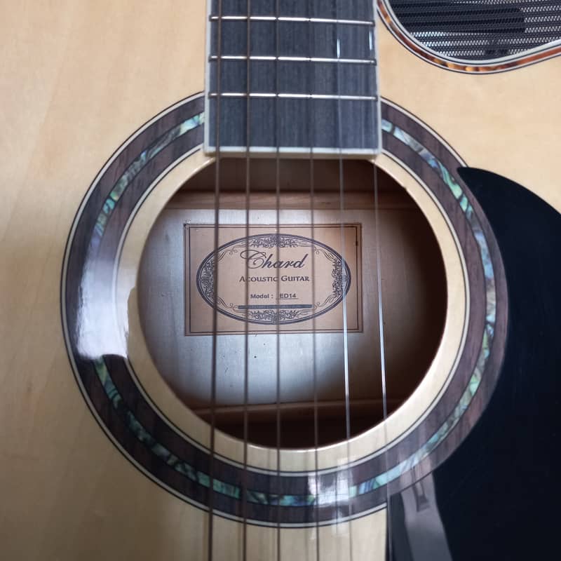 Acoustic Guitar (Chard Acoustic Guitar) 3