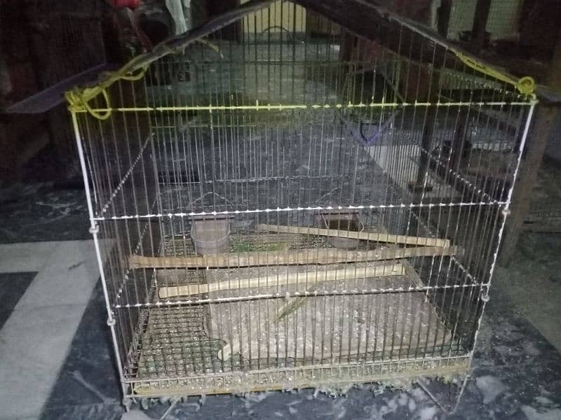 wooden & iron cages for australian parrots 0